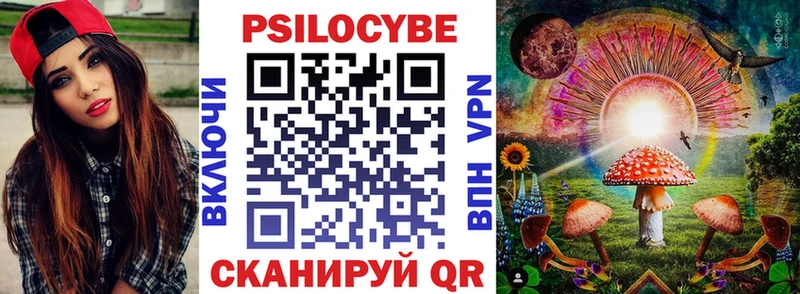где купить наркотик  Вологда  blacksprut tor  Псилоцибиновые грибы мухоморы 