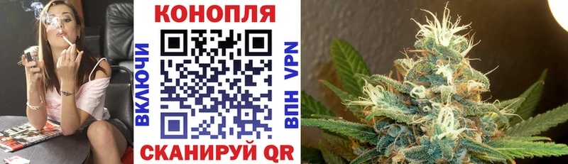 Канабис OG Kush  Вологда 